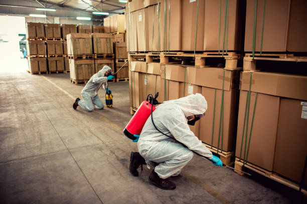 Best Termite Control Services  in Rockmart, GA
