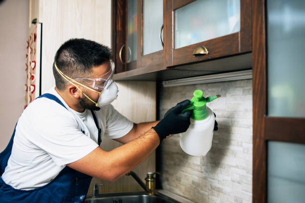 Best Affordable Pest Control Services  in Rockmart, GA