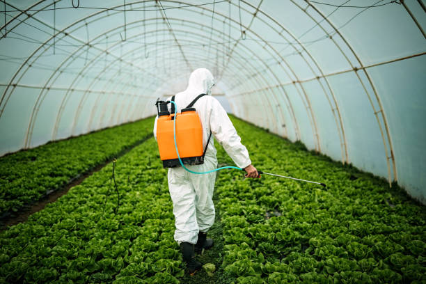 Best Pest Removal Services  in Rockmart, GA