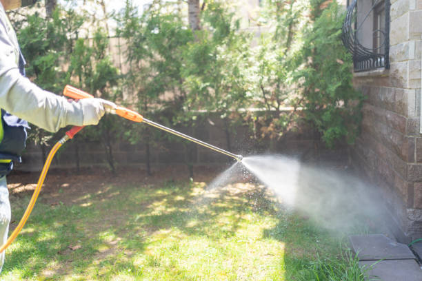 Best Pest Prevention Services  in Rockmart, GA