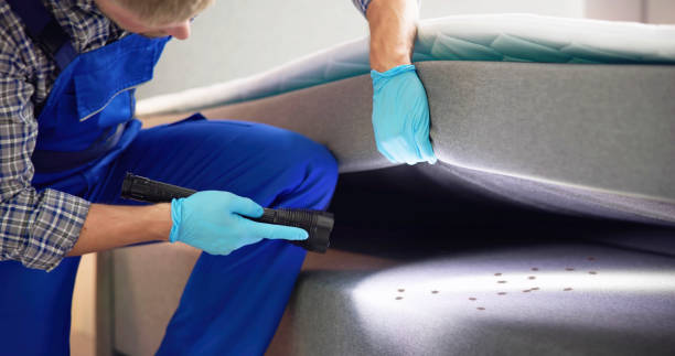 Reliable Rockmart, GA Pest Control Solutions
