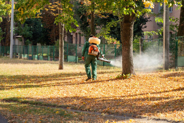 Best Pest Prevention Services  in Rockmart, GA