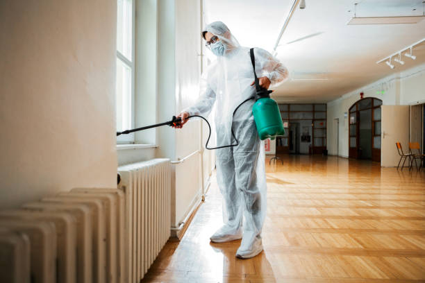 Best Pest Prevention Services  in Rockmart, GA